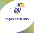 Peças para GNV