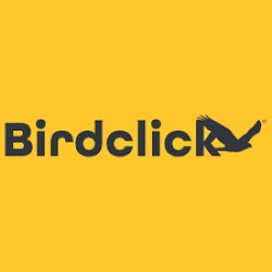 Birdclick- Agência de Marketing Digital Indaiatuba