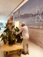 plantas para interiores