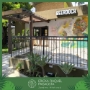 paisagismo comercial - beerdock 1