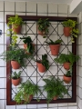 varanda - jardim vertical
