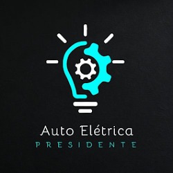 Auto Elétrica Presidente
