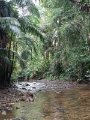 Jardim