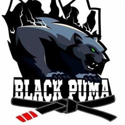 Black Puma Academia Jiu-jitsu, Muay Thai, Capoeira, Judo e Boxe