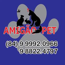 Amigão Pet