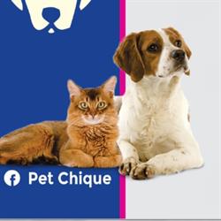 Pet Chique