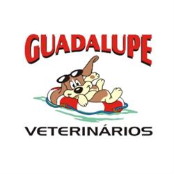 Centro Veterinário Guadalupe