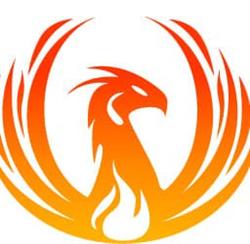 Fênix Cursos & treinamentos LTDA.