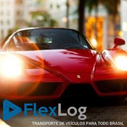 Flex Transportadora de Veículos