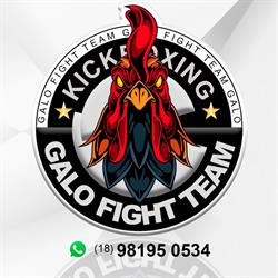 Galo Fight Team
