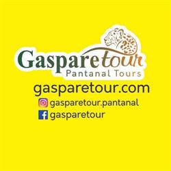 Gasparetour Pantanal Tours