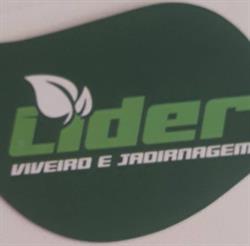 lider jardinagem