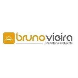 Bruno Vieira Consultoria