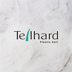 Teilhard