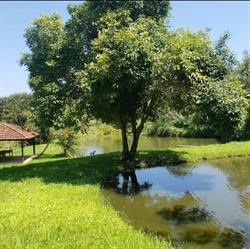 TERRA SÃO PEDRO IMÓVEIS IMOBILIÁRIA