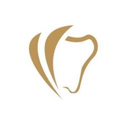 Vizzari Implantes