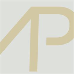 Amorim e Pires Advogados Associados