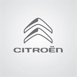 Citroen Barigüi Parque