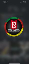 BMS Performance