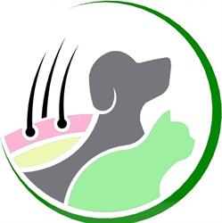 Clinica de Dermatologia Veterinária Vetedermo