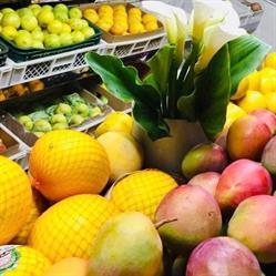 Fruteira Rezadori