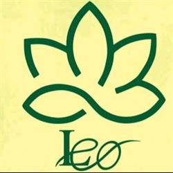 Leo Centro Estético