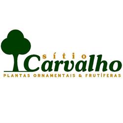 Sitio Carvalho Plantas