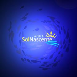 Lagos Ornamentais Campinas - AquaSol Nascente