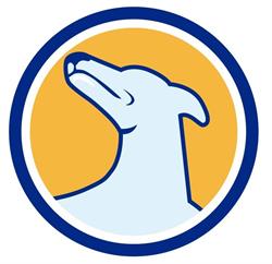Dom.Dog - Banho e Tosa