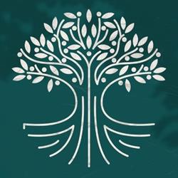 Polifisc Contabilidade