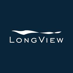 Longview Consultoria e Participações