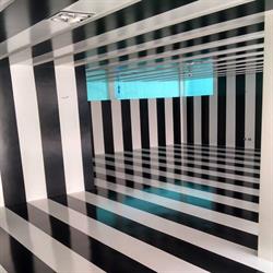 Maxxi Color
