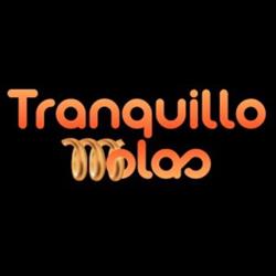 Tranquilão Suspensão Amortecedores e Molas