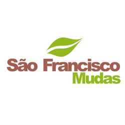 São Francisco Mudas
