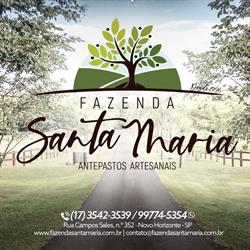 Tomates Secos Fazenda Santa Maria
