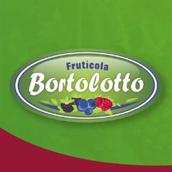 Mudas de Mirtilo Bortolotto