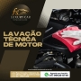 Lavação técnica de motor