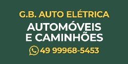 G.B. Auto Elétrica