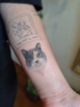 estudio de tatuagem barbara dias em teresopolis rj