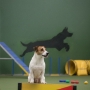 Adestrador de cães São Paulo