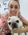 clínica veterinária em Guarulhos vet maia