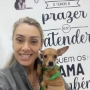 veterinária