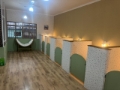 Hotel Pet Vet Maia creche para cachorro em Guarulhos