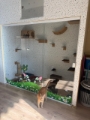 Hotel Pet Vet Maia creche para cachorro em Guarulhos