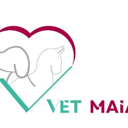 Hotel Pet Vet Maia | creche para cachorro em Guarulhos