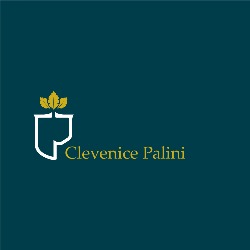 Clevenice Palini Advocacia | Direito Previdenciário em Curitiba