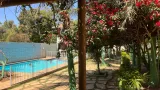 clinica de reocupação em goiás