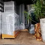 mudanças em ribeirão preto