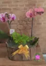 Arranjo06