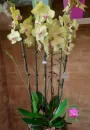 Arranjo02